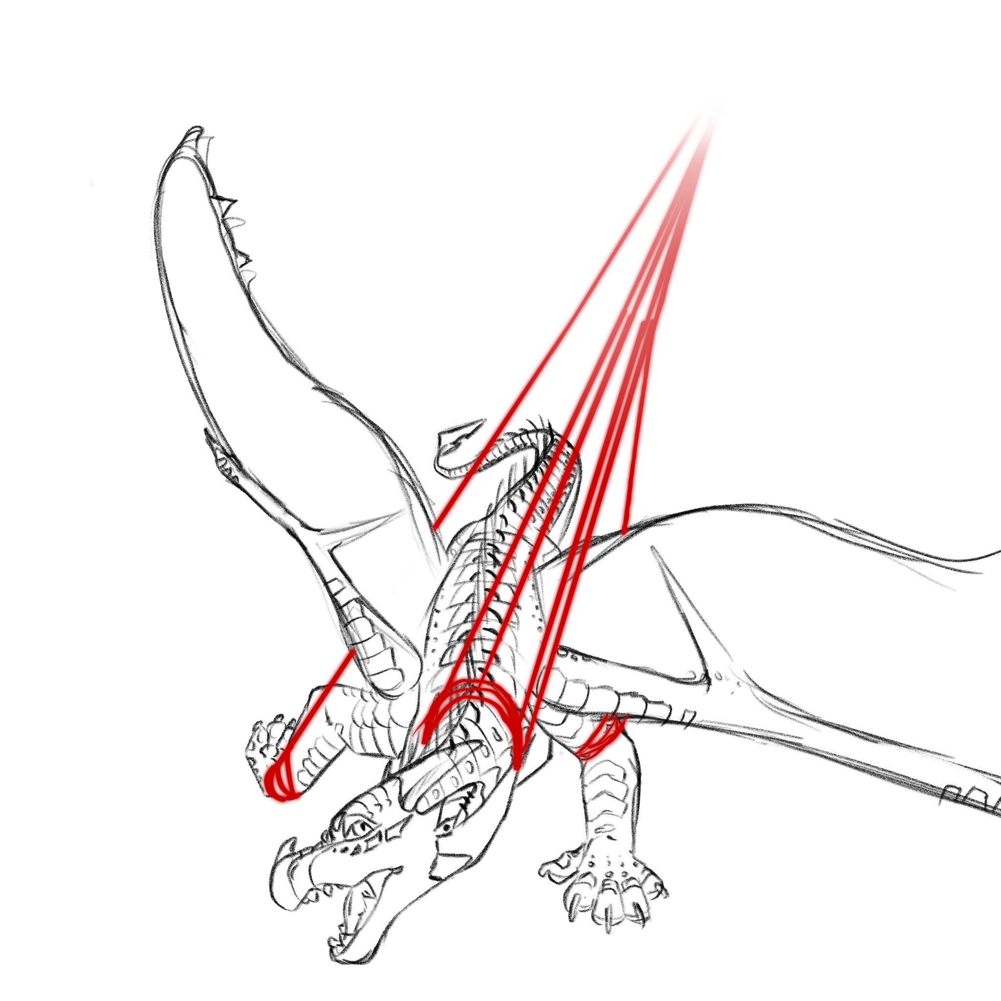 Fullbody sketch of a dragon.