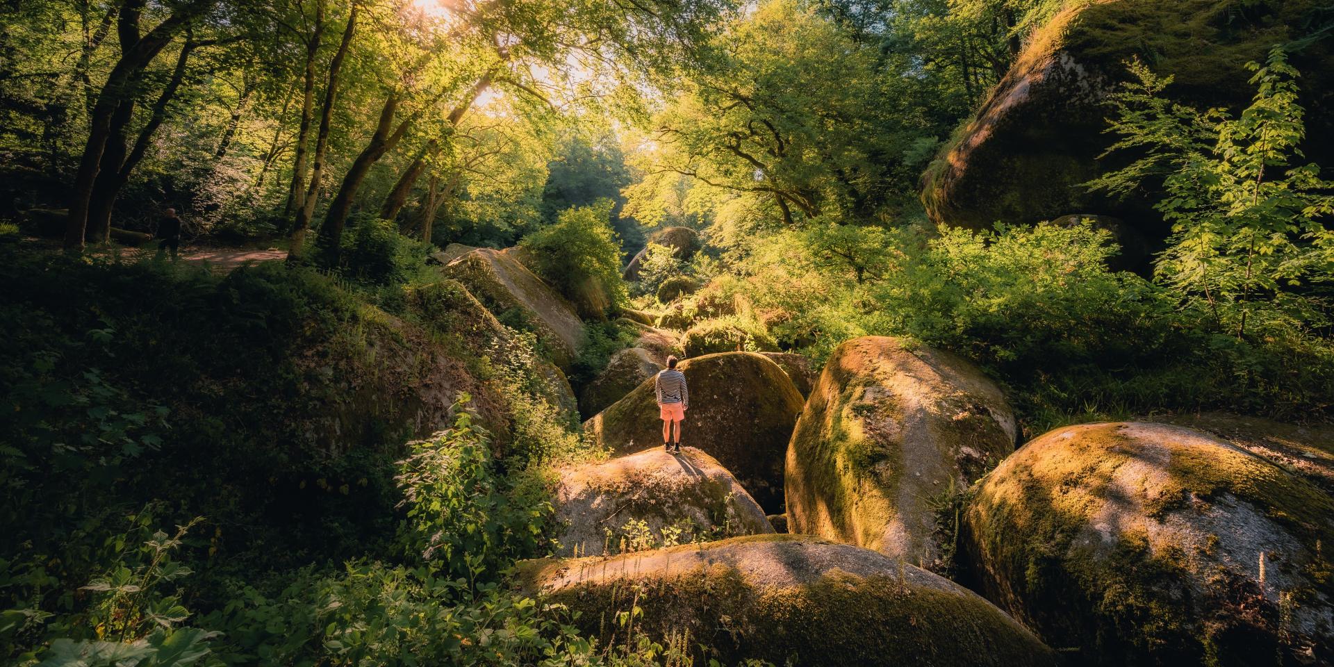 La Foret de Huelgoat